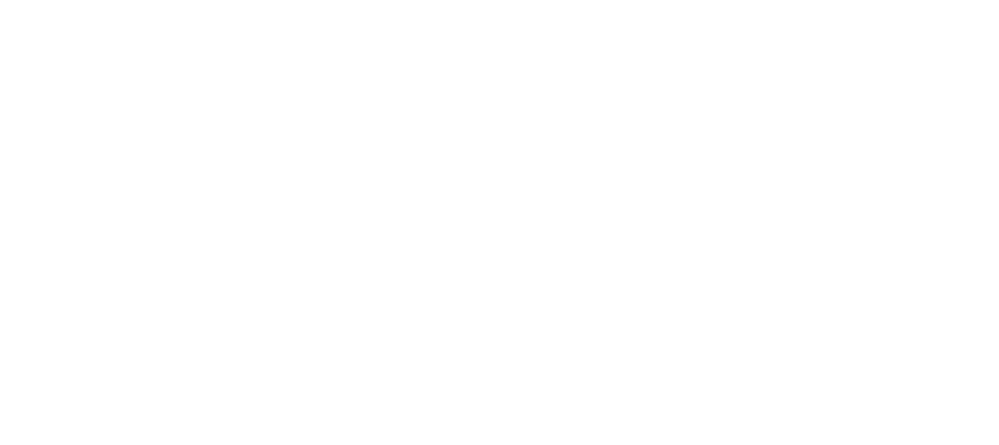 Synapse GANTT
